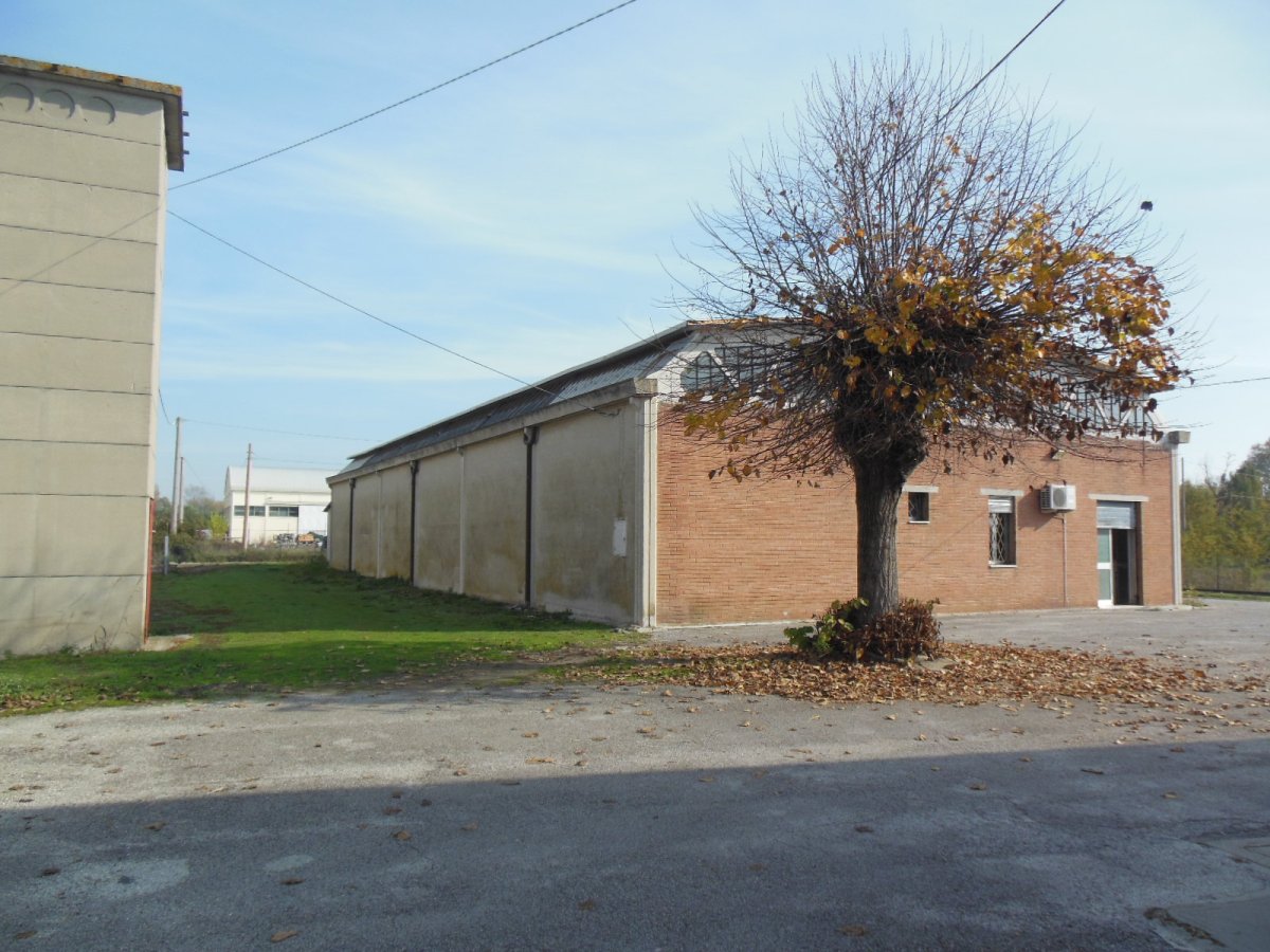 San Giuseppe - Comacchio - vendesi  capannone di mq. 450  comodo  alle vie di comunicazione  